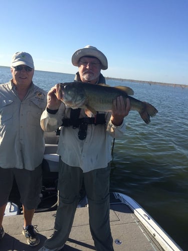 Laid-Back Pontoon Boat Fishing In Zapata