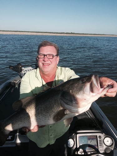 Laid-Back Pontoon Boat Fishing In Zapata