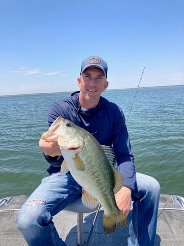 Full Day Or 1/2 Day Fishing Trip In Zapata