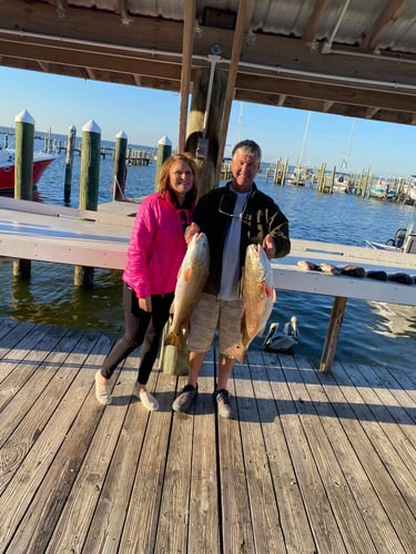 Gulf Coast Bites By The Shore In Gulf Shores