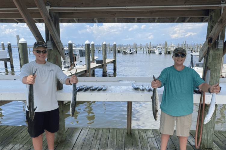 Gulf Coast Bites By The Shore In Gulf Shores