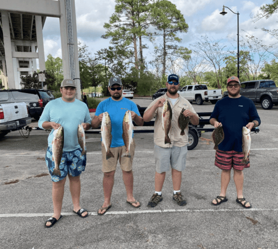 Gulf Coast Bites By The Shore In Gulf Shores