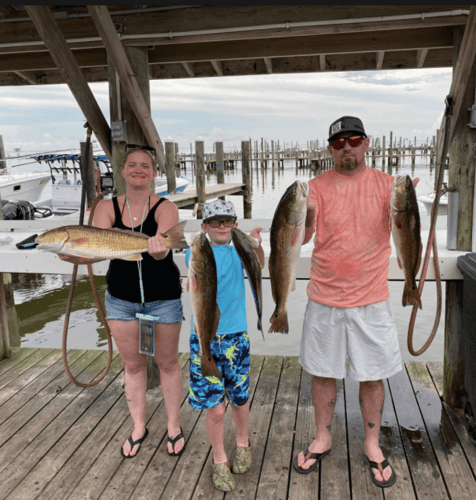 Gulf Coast Bites By The Shore In Gulf Shores