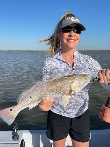 Gator Trout Trip In Matagorda