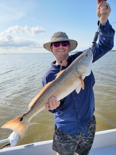 Gator Trout Trip In Matagorda