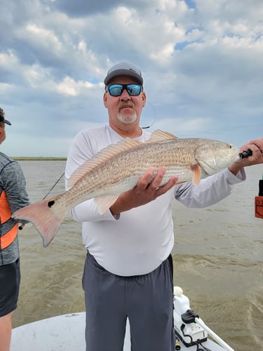 Gator Trout Trip In Matagorda