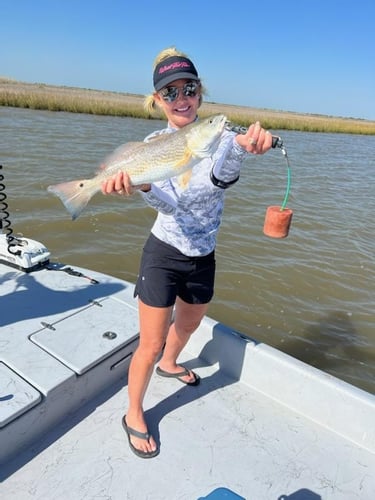 Gator Trout Trip In Matagorda