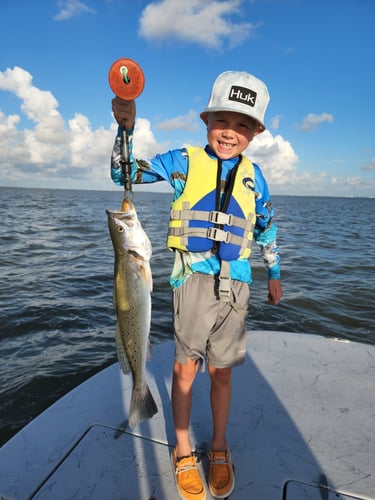 Gator Trout Trip In Matagorda