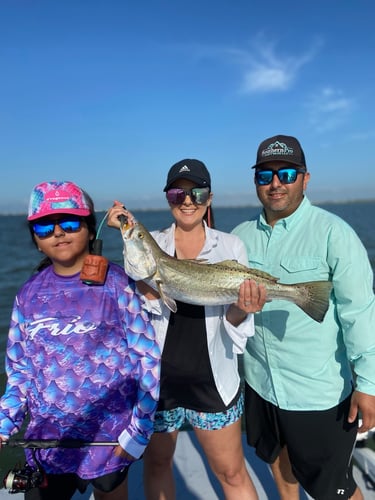 Gator Trout Trip In Matagorda