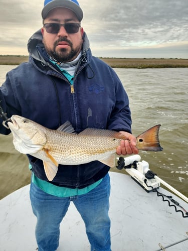 Gator Trout Trip In Matagorda