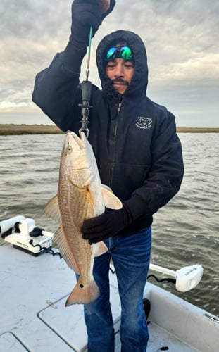 Gator Trout Trip In Matagorda