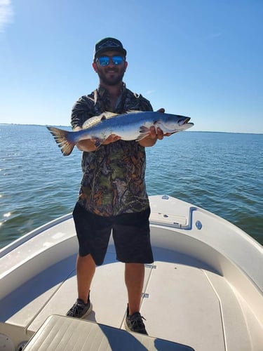 Trophy Trout Galveston Bay - 23' Parker