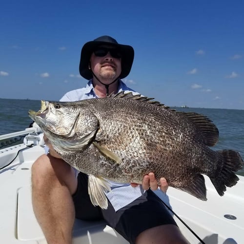 Venice Tripletail Trip In Boothville-Venice