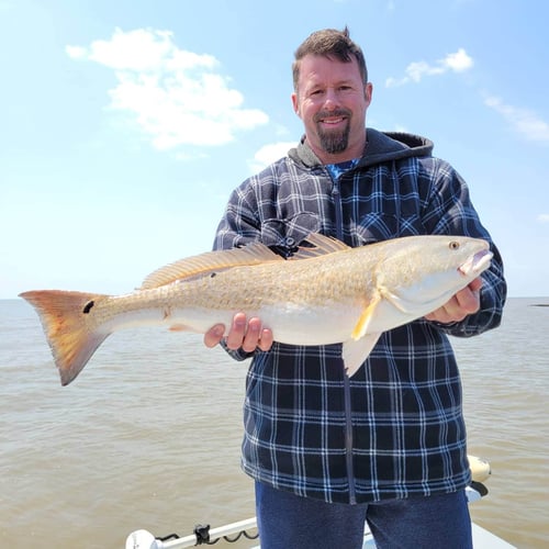 Venice Inshore Hook-Up In Boothville-Venice