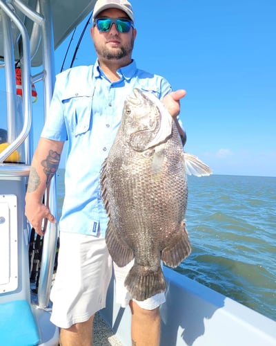 Venice Tripletail Trip In Boothville-Venice