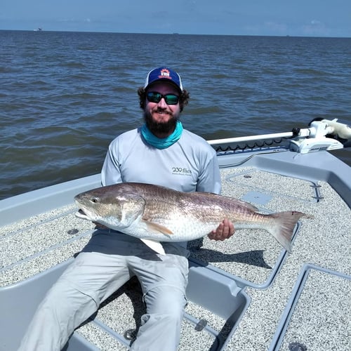 Venice Inshore Hook-Up In Boothville-Venice