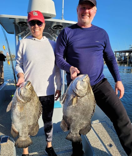 Venice Tripletail Trip In Boothville-Venice