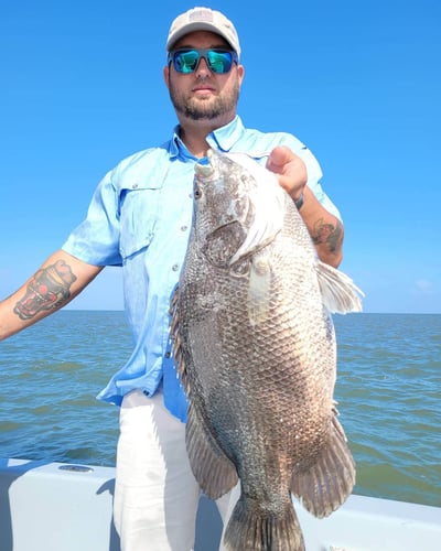 Venice Tripletail Trip In Boothville-Venice