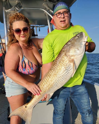 Venice Inshore Hook-Up In Boothville-Venice