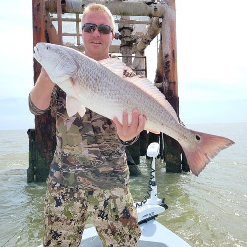 Venice Inshore Hook-Up In Boothville-Venice