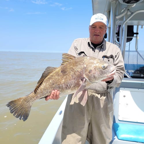 Venice Inshore Hook-Up In Boothville-Venice