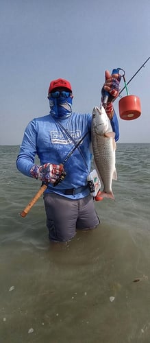 Wading the Laguna Madre in South Padre Island