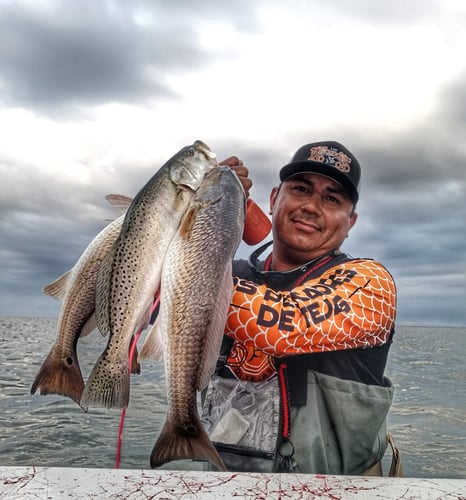 Wading the Laguna Madre in South Padre Island