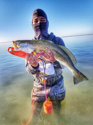 Wading the Laguna Madre in South Padre Island