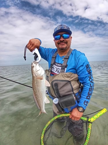 Wading the Laguna Madre in South Padre Island