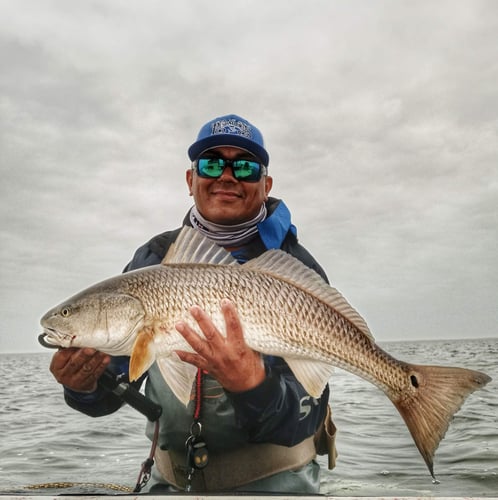 Wading the Laguna Madre in South Padre Island