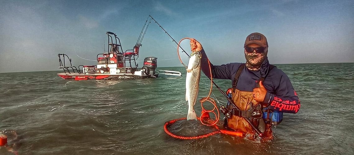 Wading the Laguna Madre in South Padre Island