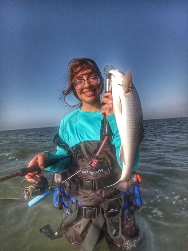 Wading the Laguna Madre in South Padre Island