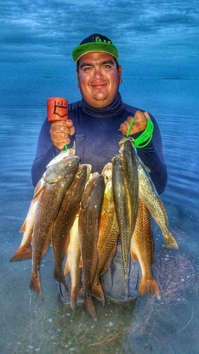 Wading the Laguna Madre in South Padre Island