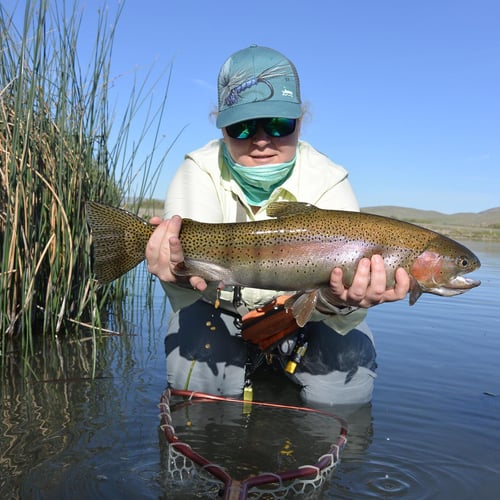 Yellowstone River Fish Frenzy In Sheridan