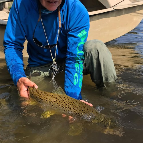 Yellowstone River Fish Frenzy In Sheridan