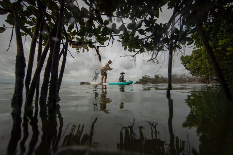 Lower Keys SUP Fishing in Cudjoe Key