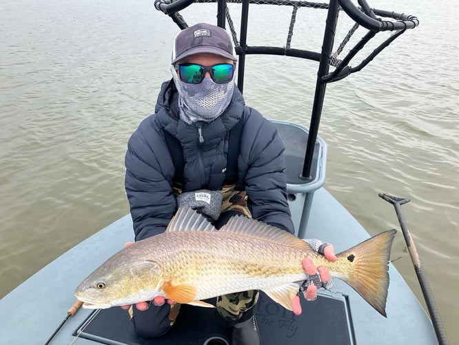 Fly Fishing Galveston In Galveston