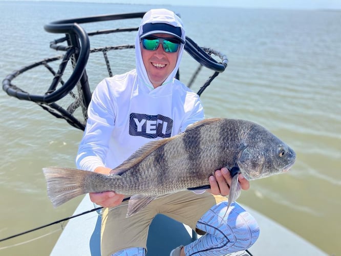Galveston On The Fly In Galveston