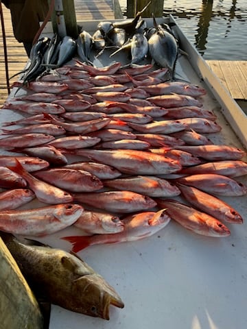 Alabama Offshore Classic In Gulf Shores