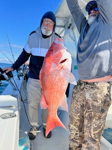 Grouper Snapper In Gulf Shores