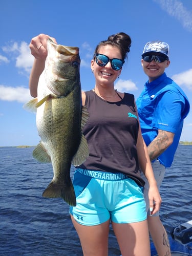 Everglades Bass And Peacock Bass In Plantation