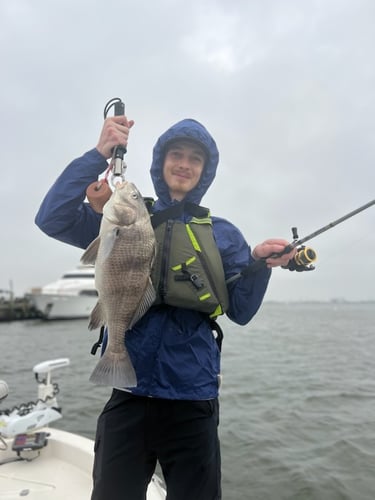 Texas "Big 3" Bay Assault In Texas City