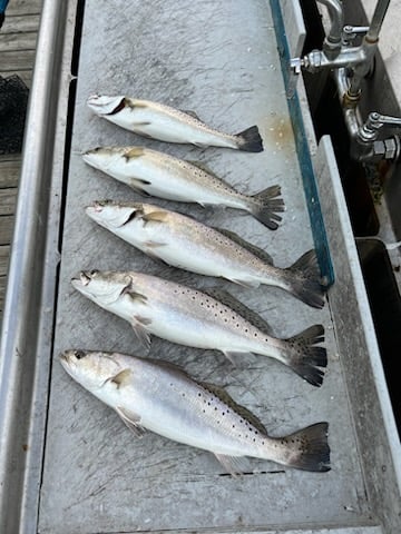 Texas "Big 3" Bay Assault In Texas City