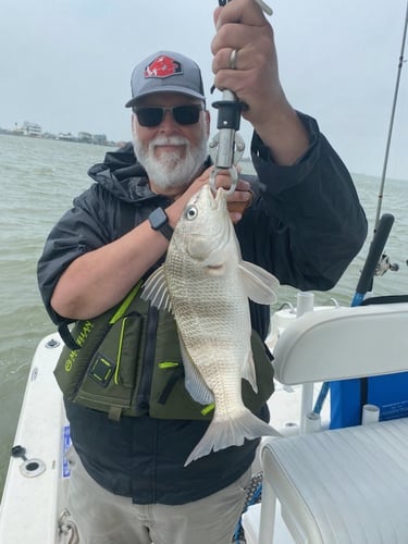 Texas "Big 3" Bay Assault In Texas City