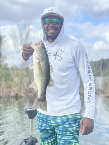 Central Florida Freshwater Trip In Fussels Corner