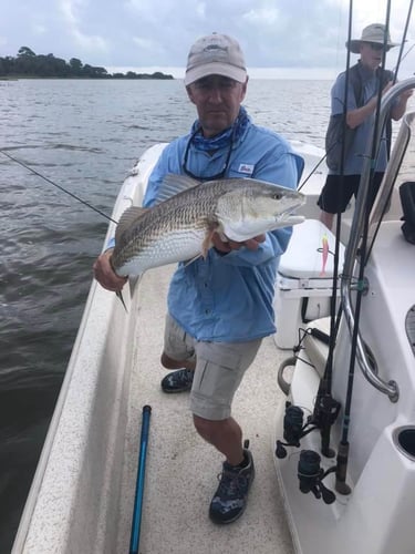 Cedar Key Family Fun - 24’ Carolina in Cedar Key