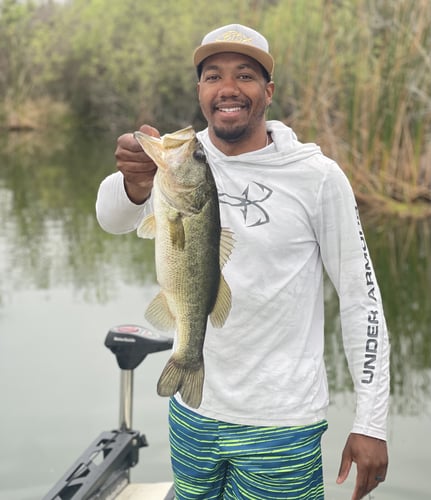 Central Florida Freshwater Trip In Fussels Corner