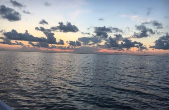 Shrimp Trawling Adventure in Grand Isle