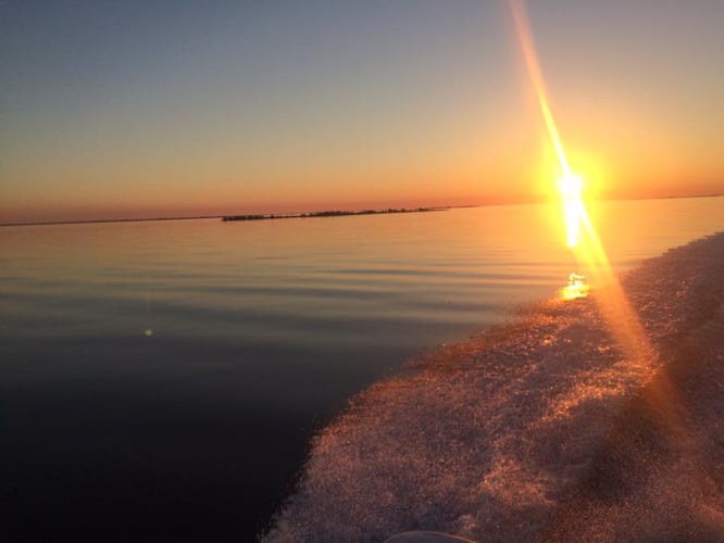 Shrimp Trawling Adventure In Grand Isle