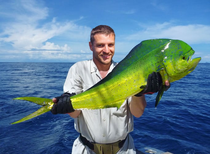 Premier Quepos Billfishing In Quepos